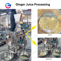Extracteur de jus d'oignon pour fruits et légumes Machine d'extraction de jus d'oignon Machine d'extraction de jus de chou