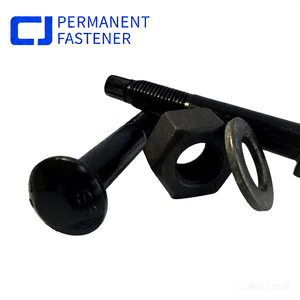 Hoge sterkte Tc bout M20 gelegeerd staal ronde kop graad 10.9 torsie-shear met zwarte oxide afwerking en ringen/moeren voor de bouw - Product Image 1