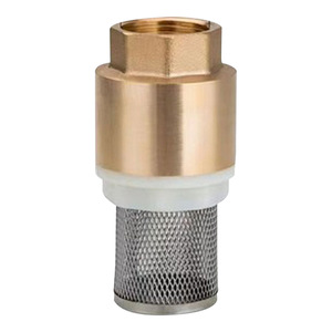 Vanne de retenue Yuhuan 1 pouce en alliage de cuivre avec filtre pour pompe à eau, utilisation à basse température - Product Image 1