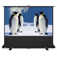 Écran de projection portable manuel de 70 pouces avec support métallique pour extérieur/bureau