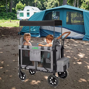 SHUANGXING-Wagon-коляска минималистичный дизайн, максимальная функциональность - Product Image 3