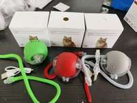Balle interactive électrique intelligente pour chat, avec appels d'oiseaux, jouet roulant pour animaux de compagnie, jouets de mouvement interactifs pour animaux, en promotion