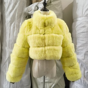 Le nouveau <span class=keywords><strong>manteau</strong></span> court en <span class=keywords><strong>imitation</strong></span> fourrure <span class=keywords><strong>manteau</strong></span> assorti à la mode femmes col montant manches longues Spot vente en gros - Product Image 4