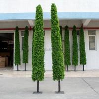 Cedar Boxwood Topiary Green Plants