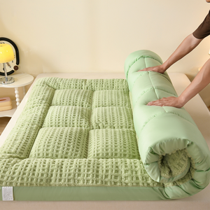 Nouveau matelas coussin multifonctionnel en duvet d'oie et velours, qualité A, toutes saisons, <span class=keywords><strong>sortie</strong></span> d'usine 2026 - Product Image 6