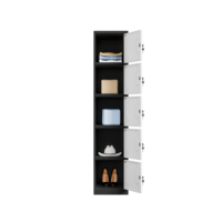 Casier en acier noir et blanc à cinq compartiments, armoire de rangement métallique pour personnel, idéal pour usine, dortoir et salle de sport