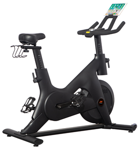 EN STOCK, bicicleta de <span class=keywords><strong>spinning</strong></span>, bicicleta estática, deportes de interior, bicicleta cardiovascular, equipo de gimnasio en casa silencioso - Product Image 1