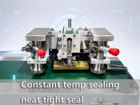 Machine d'emballage horizontale Flow Pack pour l'emballage de crème glacée aux haricots mungo