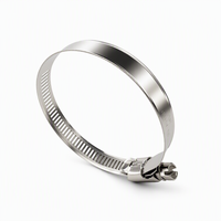 Collier de serrage américain à vis sans fin 1/2 po en bande perforée SS304 avec tête hexagonale W4 pour raccords de pompe de filtration de piscine