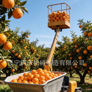 Camión de Operación en Altura para la Recolección de Frutas con Elevador Hidráulico - Product Image 5