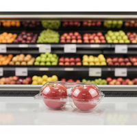 Barquettes en plastique transparent recyclé pour tomates cerises, petits contenants de présentation, plateaux d'emballage