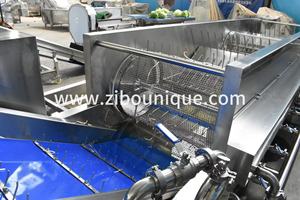 Machine automatique de lavage à bulles pour pousses de légumineuses et luzerne - Product Image 5