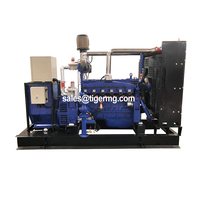 Générateur électrique au biogaz de 30 kW, 40 kW, 50 kW, 60 kW, 100 kW, 200 kW, 250 kW, 300 kW, 500 kW à vendre avec système de purification