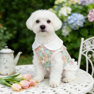Robe pour animaux de compagnie imprimée style coréen, mignonne, fine et respirante, nouvelle collection printemps-été pour chiens, robe pour animaux de compagnie - Product Image 4