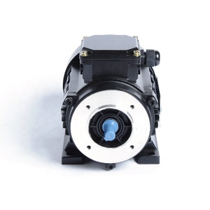 Motor de Inducción Asíncrono Trifásico de Baja Eficiencia Serie IE1, Potencia 0.06kw, Estándar IEC - Product Image 4