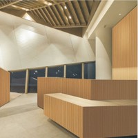 Papel tapiz decorativo Interior de piel de puerta con textura de madera, muebles para máquina de laminación plana y al vacío, uso de película de PVC