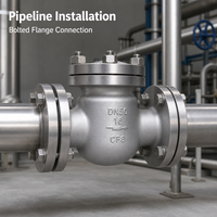 Clapet anti-retour à bride en acier inoxydable ANSI et JIS pour applications industrielles de conduites