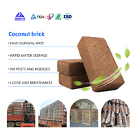 Bloc/Brick de Fibre de Coco 100% Naturelle HB Brand, Fibre de Coco, Fibre de Coir, Pith de Coco, Minéraux Non Métalliques, pH 5.2-6.8, Faible EC 0.5S/cm