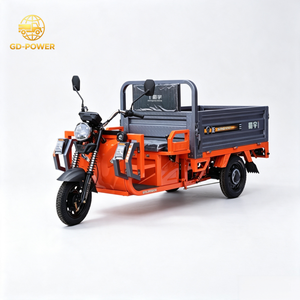 Tricycles à moteur 3 roues 1000W/1200W avec haut-parleur, moteur DC à aimant permanent fiable 1000W-1200W - Product Image 4