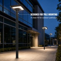 Lampe Solaire de Jardin Design Tendance 20W avec Panneau Monocristallin IP65 Étanche, Supporte 3 à 5 Jours de Pluie pour Parcs et Cours