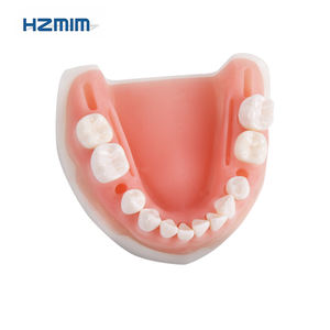 Modello di Pratica per Cisti Dentali per <span class=keywords><strong>Formazione</strong></span> Chirurgica Orale Prodotto per Scienze Mediche - Product Image 4