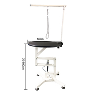 Table de toilettage électrique pour animaux de compagnie en acier inoxydable, robuste, réglable en hauteur, avec plateau antidérapant