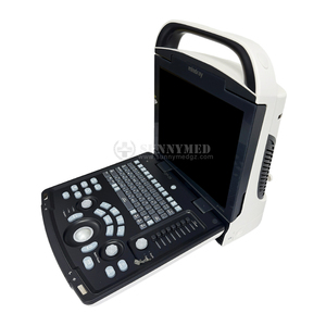 CE en iyi fiyat taşınabilir DP-20 LED dizüstü ultrason tarayıcı B/W dijital ultrasonik teşhis görüntüleme sistemi için klinik/hastane - Product Image 1