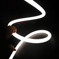3m 4m 5m de long 24VDC Led Neon Strip Light 360 Degree D22 Round silicone modern suspension flex led neon strip light