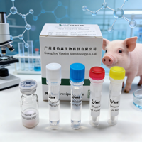 Kit de Detección del Circovirus Porcino VIPOTION, Kit de Prueba PCR en Tiempo Real para Granjas de Cerdos, Uso Veterinario, Certificado ISO, 1 Año de Garantía Veterinaria