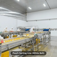 Ligne de mise en conserve automatique LWT pour la mise en conserve de pêches jaunes, avec retourneur de caisses, palettiseur et système de stérilisation alimentaire en acier inoxydable de haute qualité
