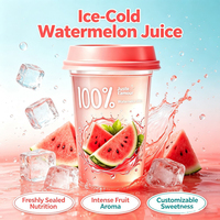 Draagbare bekerpack 100% natuurlijk vers watermeloensap, pure hydraterende fruitdrank voor distributeurs