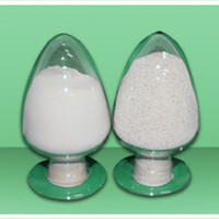 Fourniture d'enzyme Trypsine