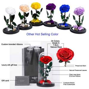 Venta al por mayor 2025 <span class=keywords><strong>rosas</strong></span> eternas de San Valentín flor regalo logotipo personalizado en inmortal estabilizado para siempre Rosa preservada en cúpula de cristal - Product Image 5