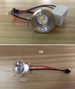 Downlight 110-240V 1W 3W 3000K 4000K 6000K Customize <span class=keywords><strong>Led</strong></span> Mini Spotlight Ceiling Floor Hide High Bright Focus Lamp Spotlight - Product Image 4