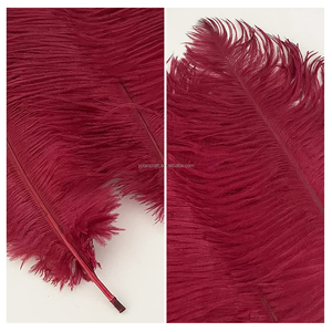 Plumes d'autruche teintées et duveteuses en gros pour centres de table de mariage, carnaval, vases, décoration d'événements et de fêtes - Product Image 6