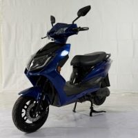 Scooter électrique monoplace à deux roues, 1000W, 150kg, longue autonomie, batterie amovible, frein à disque sur roue avant, phare LED