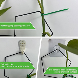 Vente en gros de 20 pièces de décoration d'intérieur pour le jardin, cadre de <span class=keywords><strong>support</strong></span> pour plantes grimpantes en treillis en métal - Product Image 5
