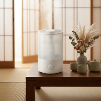 Humidificateur Électrique de Bureau à Brume Froide, Commande par Bouton, Capacité 4L, Garantie 1 An, pour Bureau et Usage Domestique, Stérilisation