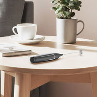 Mousseur à lait électrique portatif à piles pour café, latte, matcha, chocolat chaud, fouet en acier inoxydable 304