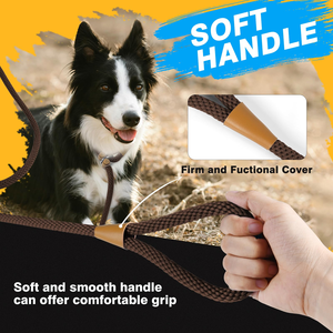 High Quality Classic Heavy Duty Dog <b>Training</b> <b>Lead</b> Leash No Pull Design Polypropylene Durable Pet Leash for Daily Dog Walking - Product Image 6
