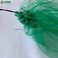 WEINONG Virgin HDPE Ademend Groen Mesh Dadelzakje 70x90cm 40g GSM voor het beschermen van dadels in de landbouw