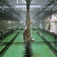 Ligne complète d'abattage de moutons : Moteur et composants essentiels (roulements) pour l'équipement de boucherie de viande moutonneuse