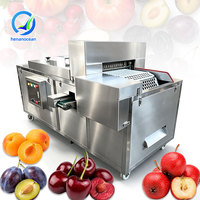 OCEAN SUS304 Automatische Avocado Kersenontpitter Machine Kleine Gedroogde Dadel Pruimen Abrikozen Ontpitter Machine Prijs