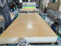 Panneau de contreplaqué en bois de bouleau stratifié 4x8' au design moderne, épaisseur 18 mm / contreplaqué commercial 3 mm-30 mm pour meubles