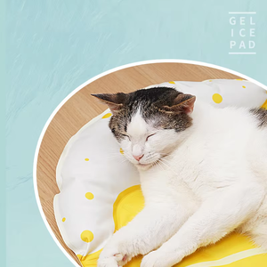 <span class=keywords><strong>Tapis</strong></span> rafraîchissant pour animaux de compagnie NiBao, vente en gros, sûr, non toxique, gel d'été, <span class=keywords><strong>tapis</strong></span> de couchage pour <span class=keywords><strong>chien</strong></span> et chat, auto-refroidissant - Product Image 4