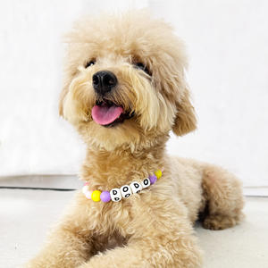 Collar de Silicona Personalizado con Nombre para Mascotas, Collar de Perro con Nombre DIY - Product Image 6