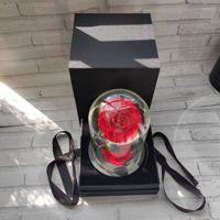 Rose Éternelle Fleurs Saint-Valentin Fête des Mères Fleur Conservée Durable Roses pour Toujours sous Cloche en Verre LED