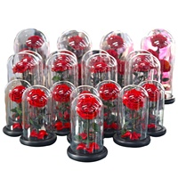 Boîte cadeau de la Saint-Valentin Belle Enchanted avec rose naturelle, fleurs éternelles, rose éternelle dans un dôme en verre avec LED
