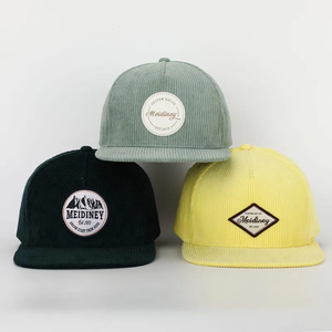 Gorra Snapback de 6 Paneles de Pana, Unisex, Color Sólido, Logotipo Bordado en el Panel Frontal, Gorra Casual para Primavera y Otoño, Talla Adulto - Product Image 1