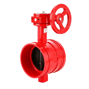 G381X Fonte de fer rouge résistante au feu - Convient aux systèmes anti-incendie - Product Image 5
